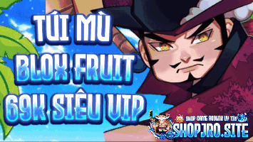 TÚI MÙ 69k