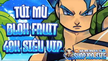TÚI MÙ  49k